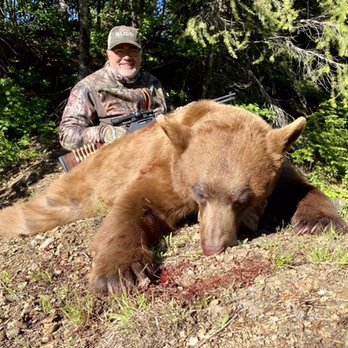 Bearpaw Outfitters - Idaho color phase black bear taken using a Henry 45-70 with Buffalo Boar ammo 405gr - Wildlife Hunting Ranges Near Me - Colville, Washington