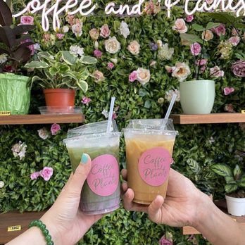 Coffee and Plants - Pink Matcha & The Zion - Coffee & Tea Near Me - Pasadena, California