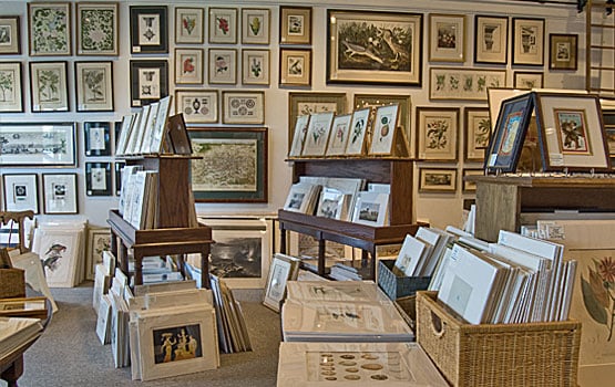 The Antiquarium - Houston's Finest Custom Picture Framing, Rare Maps and Prints by null