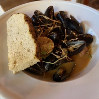 Havana - Mussels aka mejillones - Seafood Near Me - Bar Harbor, Maine Havana - Mussels aka mejillones - Seafood Near Me - Bar Harbor, Maine