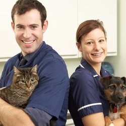 Meadows Animal Hospital