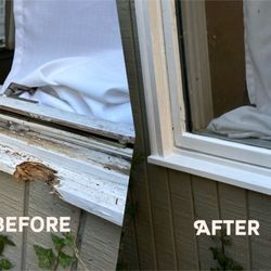 Whole Window