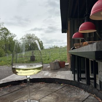 Cheeky Duck Vineyard - Pinot Grigio - Pizza Near Me - Lakefield, Ontario Cheeky Duck Vineyard - Pinot Grigio - Pizza Near Me - Lakefield, Ontario