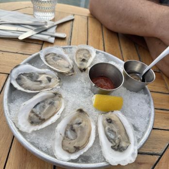 Salt Wharf - Oysters - Seafood Near Me - Camden, Maine