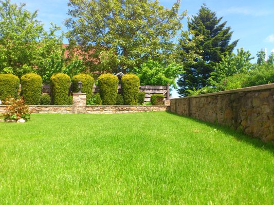 M&M Grooming & Lawn Care on Yelp