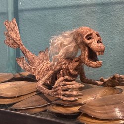 Mermaid Museum