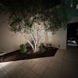King Of Christmas Lights
