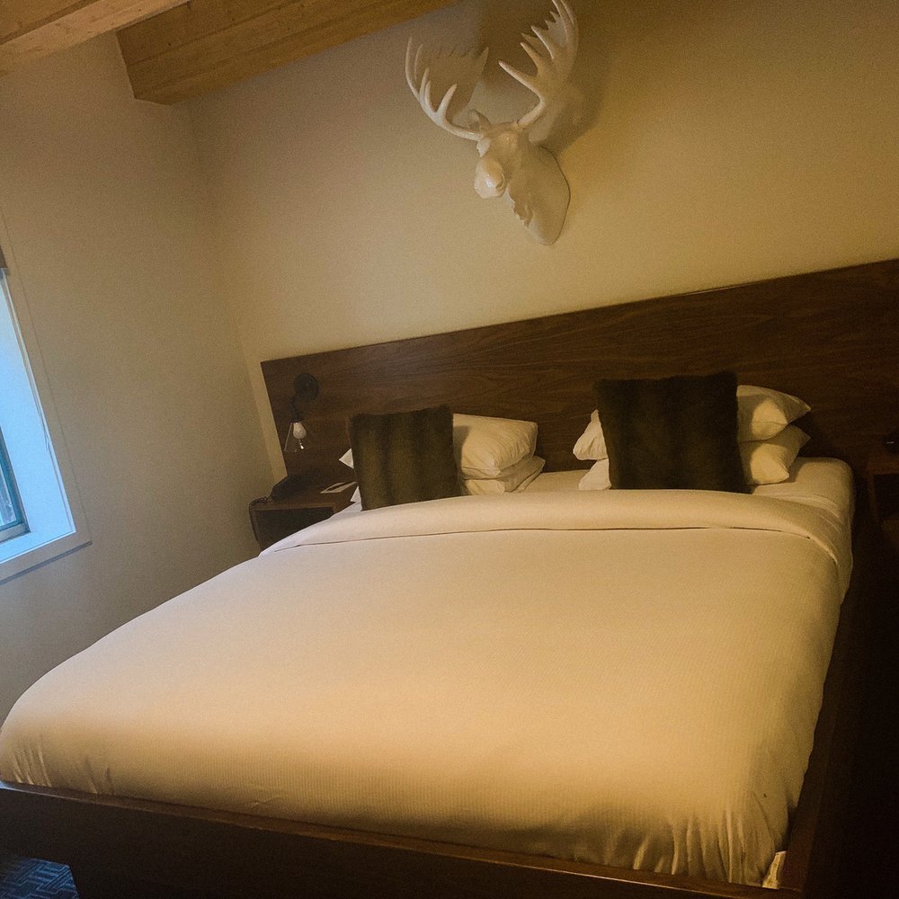 Hotel Durant - Hotels Near Me - Aspen, Colorado Hotel Durant - Hotels Near Me - Aspen, Colorado