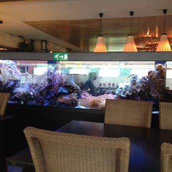 Secret Garden - Aquarium - Thai Near Me - Antwerp, VAN