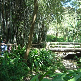 Parque Severo Gomes - Tours Near Me - São Paulo, SP
