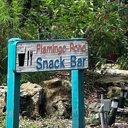 Flamingo Cafe