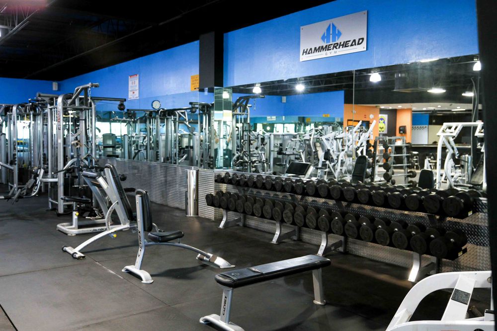 Hammerhead Gym Image