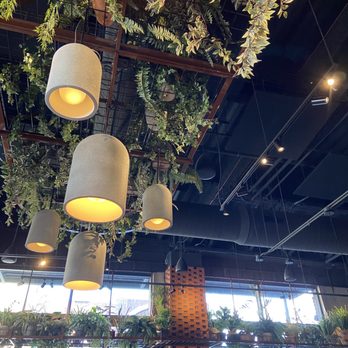 Andros Taverna - Restaurant vibe - Greek Near Me - Chicago, Illinois Andros Taverna - Restaurant vibe - Greek Near Me - Chicago, Illinois