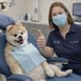 Photo of Paw Haven Animal Hospital