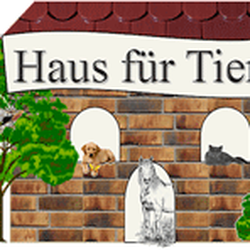 Hundetraining   Haus für Tiere