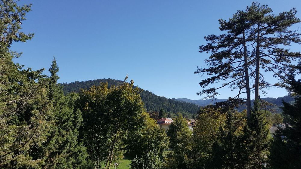 LORETTOKRANKENHAUS Updated April 2024 Mercystr. 614, Freiburg, BadenWürttemberg, Germany