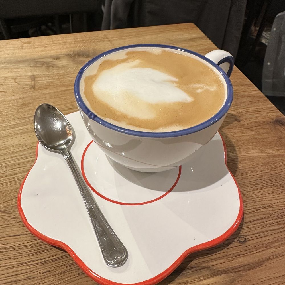 Sanseveria - Cappuccino - Bagels Near Me - Bruges, VWV Sanseveria - Cappuccino - Bagels Near Me - Bruges, VWV