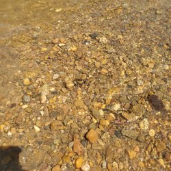 Limestone Park Canoe Rental - Zoom in and see the snake. Gotta be careful.