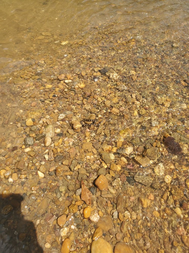 LIMESTONE PARK CANOE RENTAL Updated August 2024 16 Photos & 17