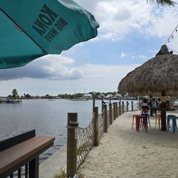 Tipsy Tarpon