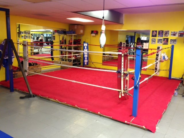 Bfs Boxing Logo
