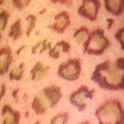 Do's and Tattoos - Leopard print by Buzz!