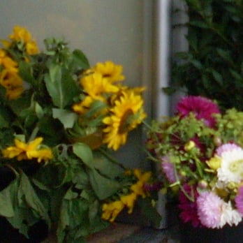 Greens Organic - Grocery Near Me - Brighton, BNH Greens Organic - Grocery Near Me - Brighton, BNH