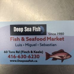 Deep Sea Fish
