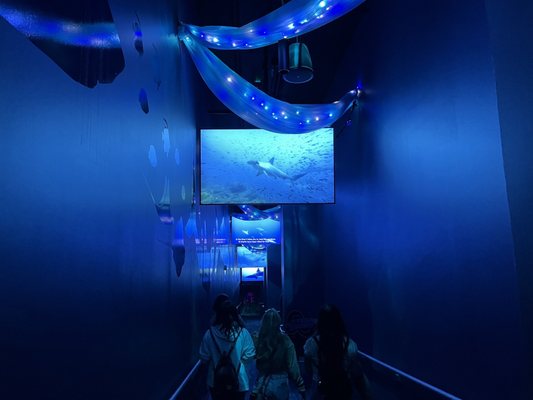 St. Louis Aquarium at Union Station by null