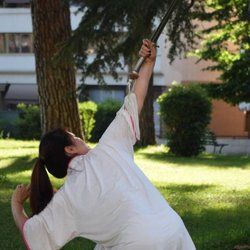 Fair Oaks Tai Chi & Meihuazhuang