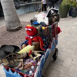 Pirate pup won fifth place in the contest