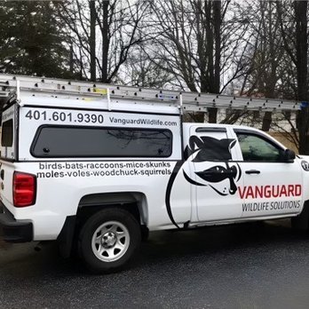 Vanguard Wildlife Solutions - Vanguard Wildlife Solutions - Love their logo!!! - Wildlife Control Near Me - Coventry, Rhode Island