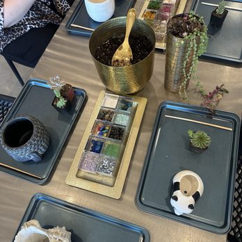 ILoveTus Succulents - Nurseries & Gardening Near Me - Los Angeles, California