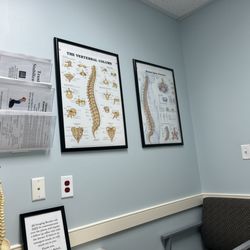 Signe Spine & Rehab