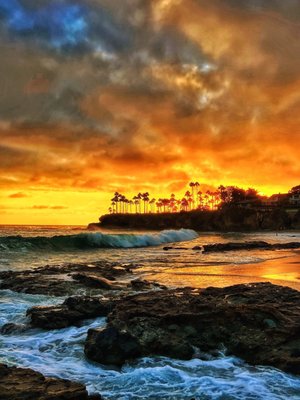 Shaws Cove by null
