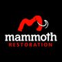 Photo of Mammoth Restoration - Greater Philadelphia