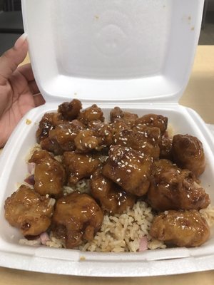 Chop Sticks by null