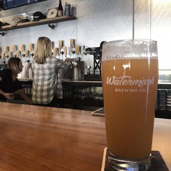 Watermark Brewing - Ugly Face IPA - Breweries Near Me - Stevensville, Michigan
