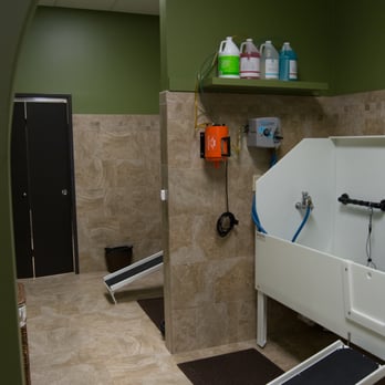 EarthWise Pet Richardson - Pet Groomers Near Me - Richardson, Texas EarthWise Pet Richardson - Pet Groomers Near Me - Richardson, Texas