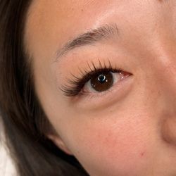 Fresh lash fill