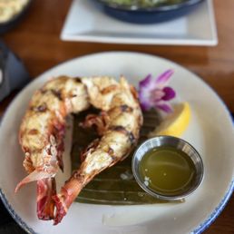 Florida lobster