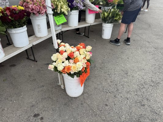 Camarillo Farmers Market by null