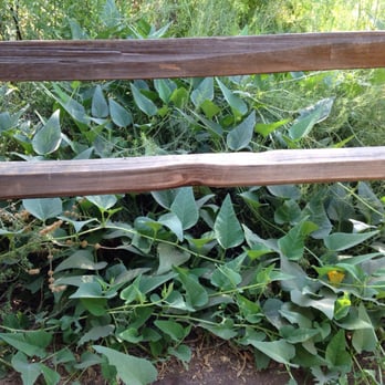Tonaquint Nature Center - Watermelon growing wild @ Tonaquint Nature Center - 7/28/16 - Parks Near Me - St. George, Utah Tonaquint Nature Center - Watermelon growing wild @ Tonaquint Nature Center - 7/28/16 - Parks Near Me - St. George, Utah