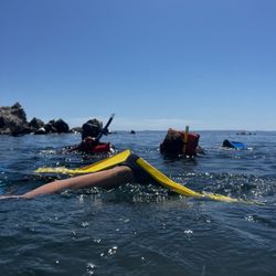 Fun Baja - Snorkeling