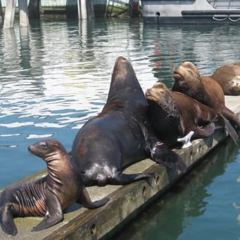 Charleston Marina - Marinas Near Me - Coos Bay, Oregon Charleston Marina - Marinas Near Me - Coos Bay, Oregon