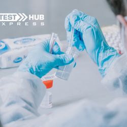 Test Hub Express