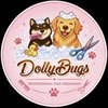 Dolly Bugs gift card