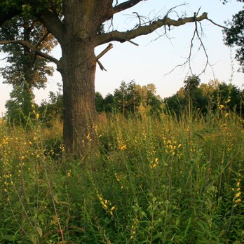 Ojibway Nature Centre - Oak Savanna - Amateur Sports Teams Near Me - Windsor, Ontario Ojibway Nature Centre - Oak Savanna - Amateur Sports Teams Near Me - Windsor, Ontario