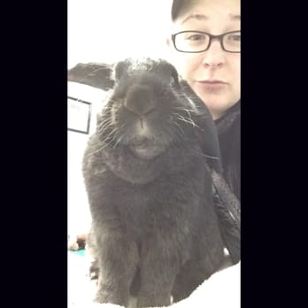 Warren Animal Hospital - Happy and healthy bunny thanks to Warren Animal Hospital! - Veterinarians Near Me - Murfreesboro, Tennessee Warren Animal Hospital - Happy and healthy bunny thanks to Warren Animal Hospital! - Veterinarians Near Me - Murfreesboro, Tennessee