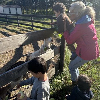 Silver Key Ranch - Interacting with and feeding the goats! - Farms Near Me - Catlett, Virginia